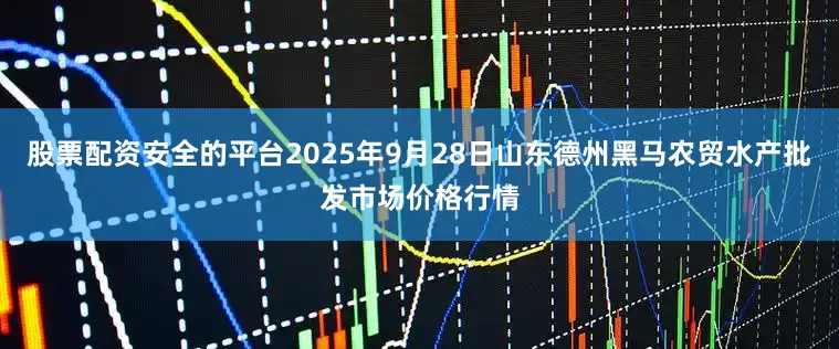 股票配资安全的平台2025年9月28日山东德州黑马农贸水产批发市场价格行情