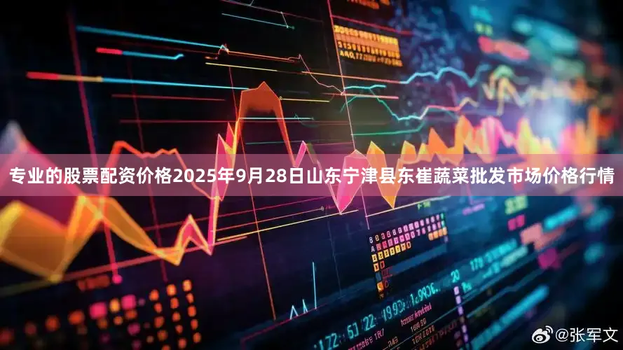 专业的股票配资价格2025年9月28日山东宁津县东崔蔬菜批发市场价格行情