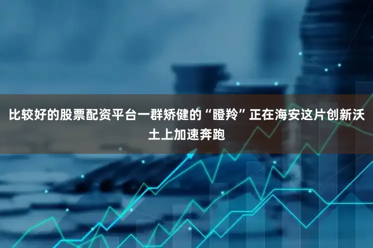 比较好的股票配资平台一群矫健的“瞪羚”正在海安这片创新沃土上加速奔跑